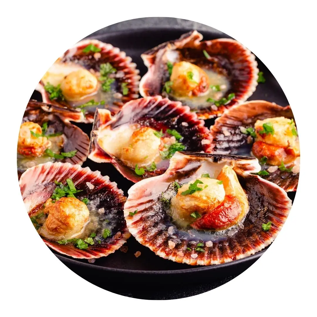 Ostiones Media Concha Peruano 30/40 - Caja 10 kg miniatura 2