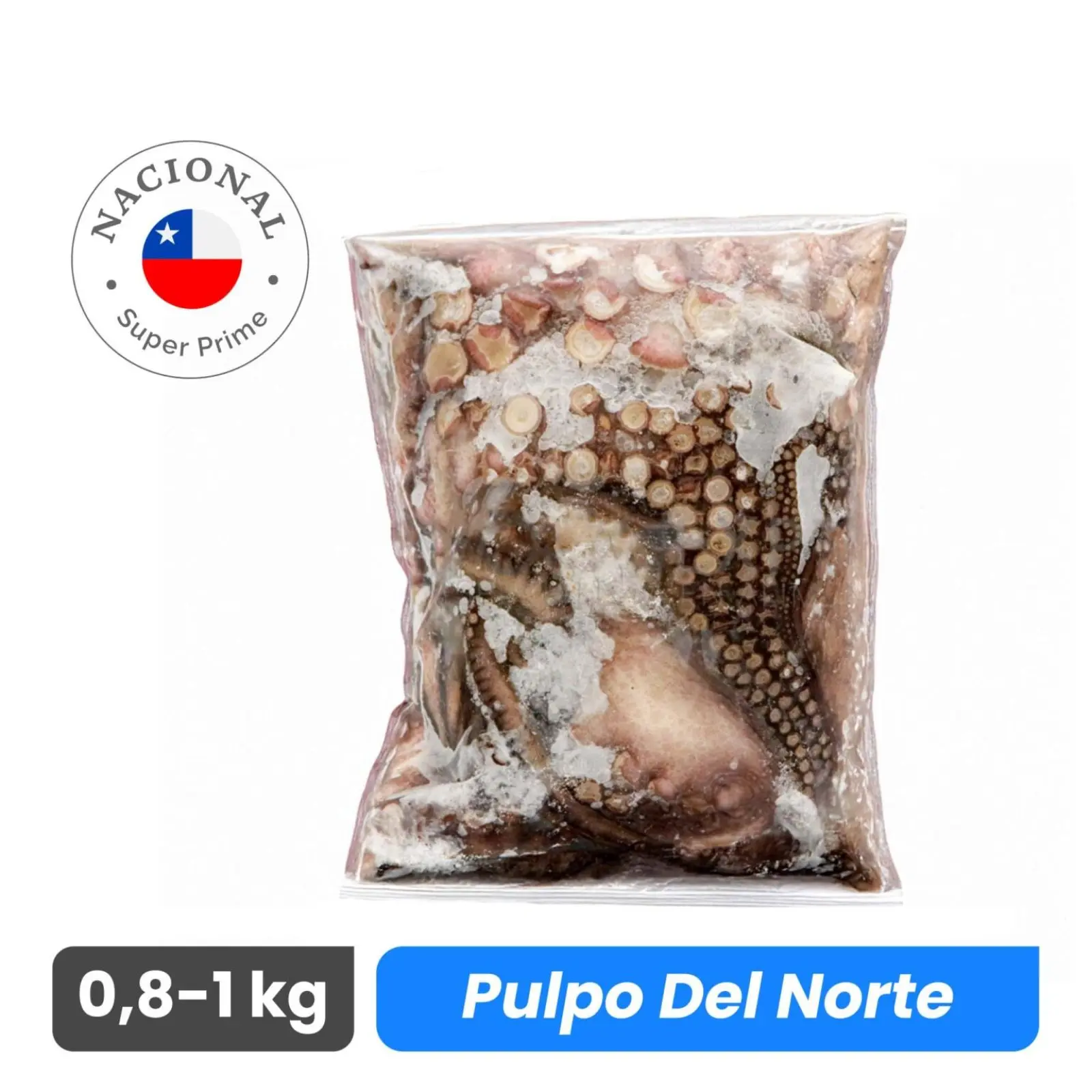 Pulpo de Norte 0,8 a 1 kg - Super Prime - Caja 20 kg