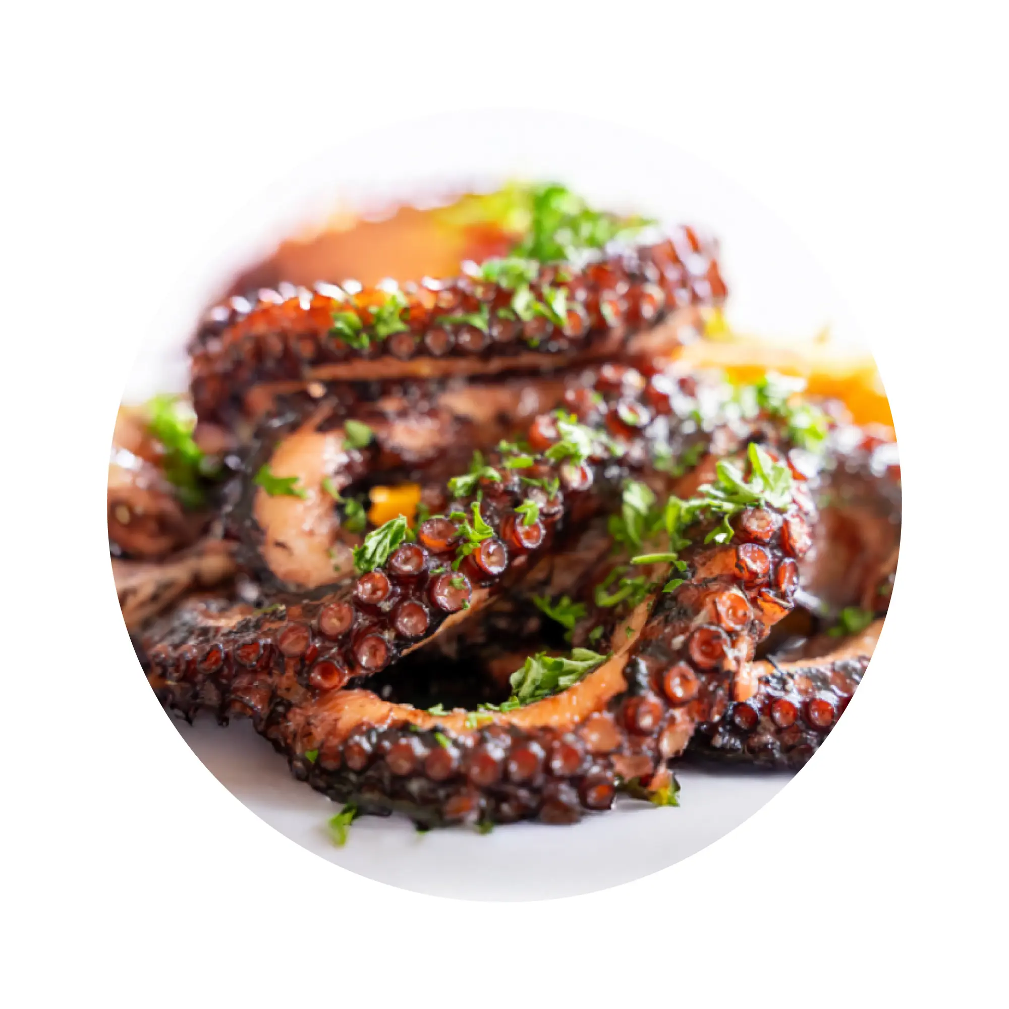 Pulpo Del Norte 1 a 2 kg - Super Prime - Caja 20 kg miniatura 2